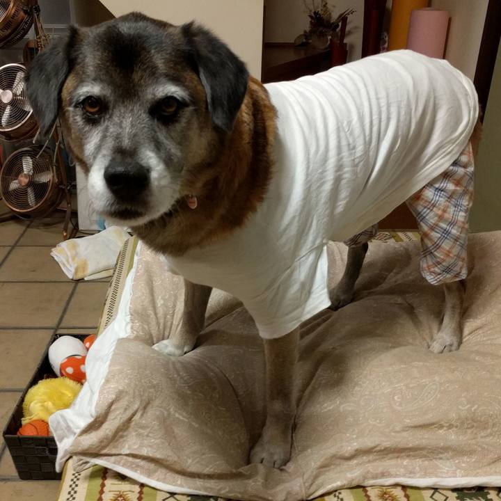 E27a8850 66b7 4718 86a8 f1cb551c94b7 1515670340814