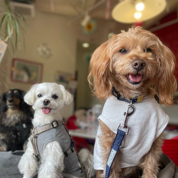 E27a8f82 0302 43c5 b421 6467d1d3e491 1771848924894