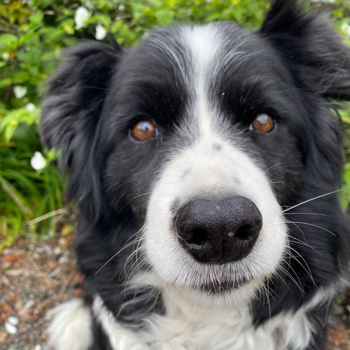 E27aa34e 5c33 46de b959 719d6aadac76 1617579703025