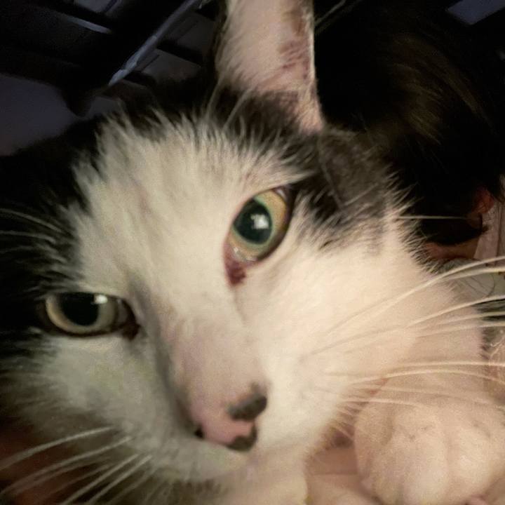 E27aa624 fd99 4b20 b04a 380aa3dc1757 1643972764105