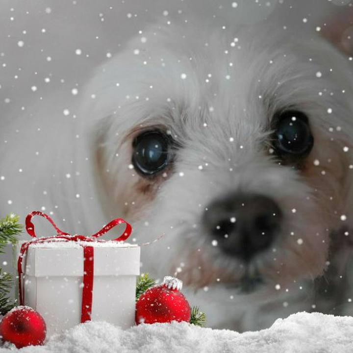 E27abc32 937a 4fa4 a727 67c50967c600 1577114497109