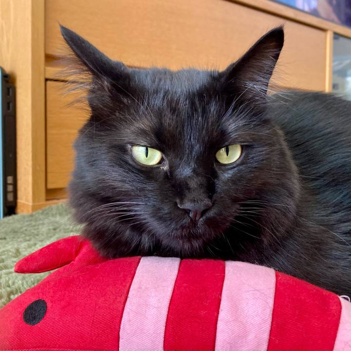 E27ad583 f834 4d7f a291 ab365f9e3415 1760614545623