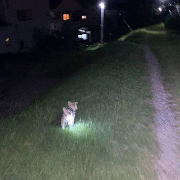 E27ae1bb ba76 4467 8be6 f655487792eb 1725621983618