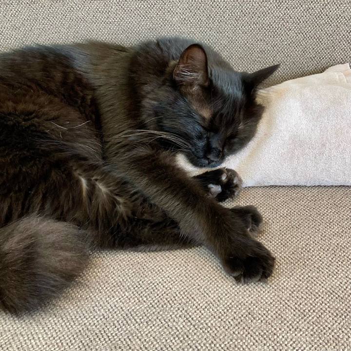 E27ae5a2 2ceb 465a a03b 657c565ddbbe 1722500742268