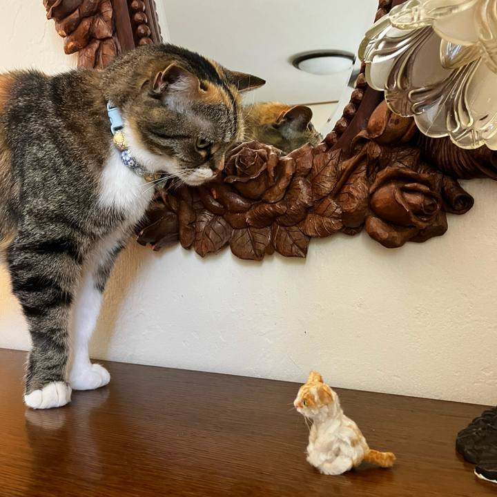 E27b06d9 6c61 4541 b5de 0bedb574cd04 1775468410778