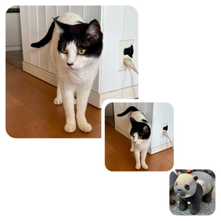 E27b46e9 d71f 4a6a ae20 eb18b04be563 1758103002079