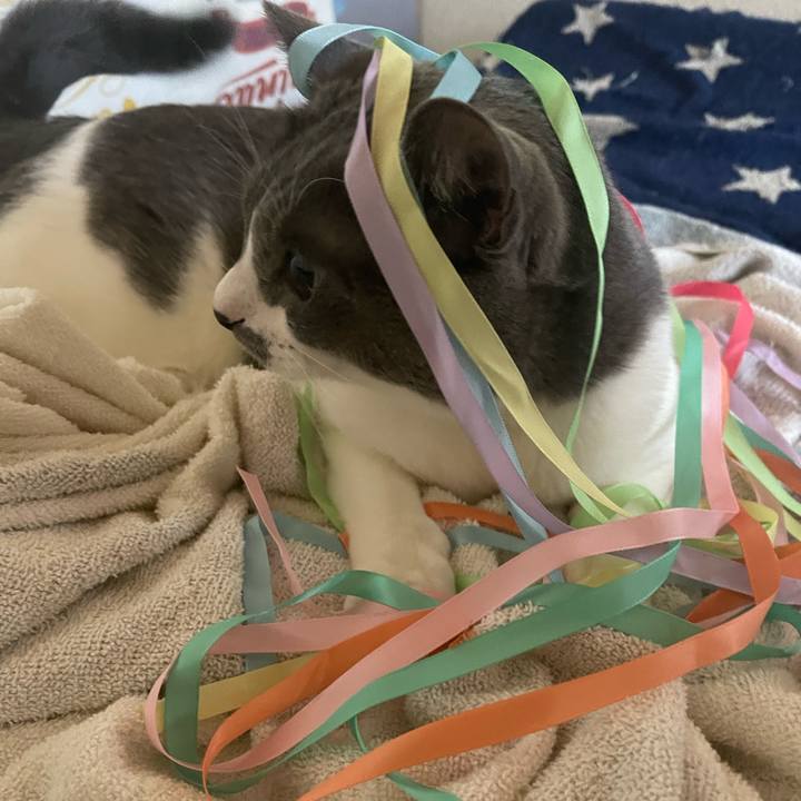 E27b69ef 6f39 4257 a4c3 f76ada93612f 1659084443876