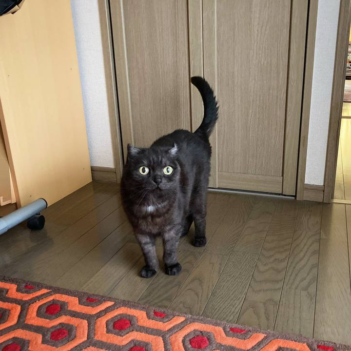 E27b746a 765a 4f1b be1c 8b9cc59de9bc 1589150450112