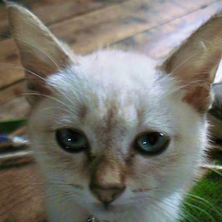 E27b9900 085b 4ad4 b565 d2f41535535c 1616115203681