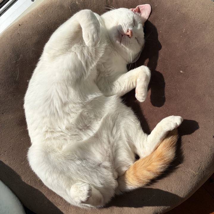 E27bb24b 675e 4b74 b1f5 69aa4454feac 1772326801309