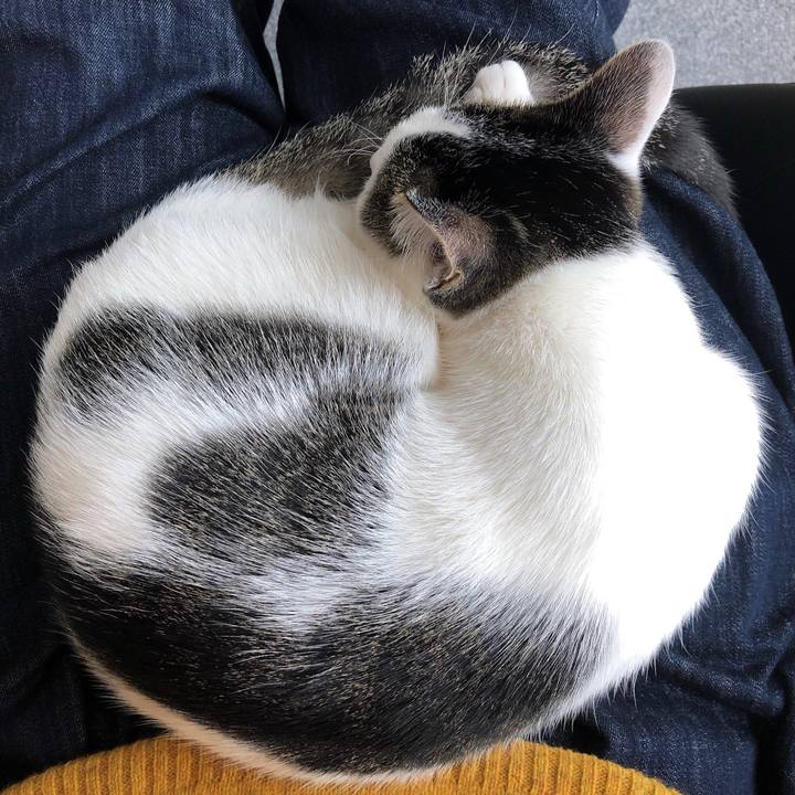 E27c6299 06b7 462f 96bc 662558dc46d4 1581650351131