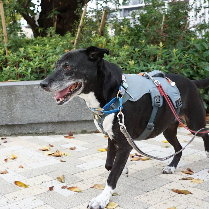 E27c9738 8560 40ac 8b63 21ce0498b753 1757980428945