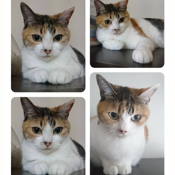 E27cabd9 99c5 4ad4 ba01 a1fe70e2d6d3 1535863224431