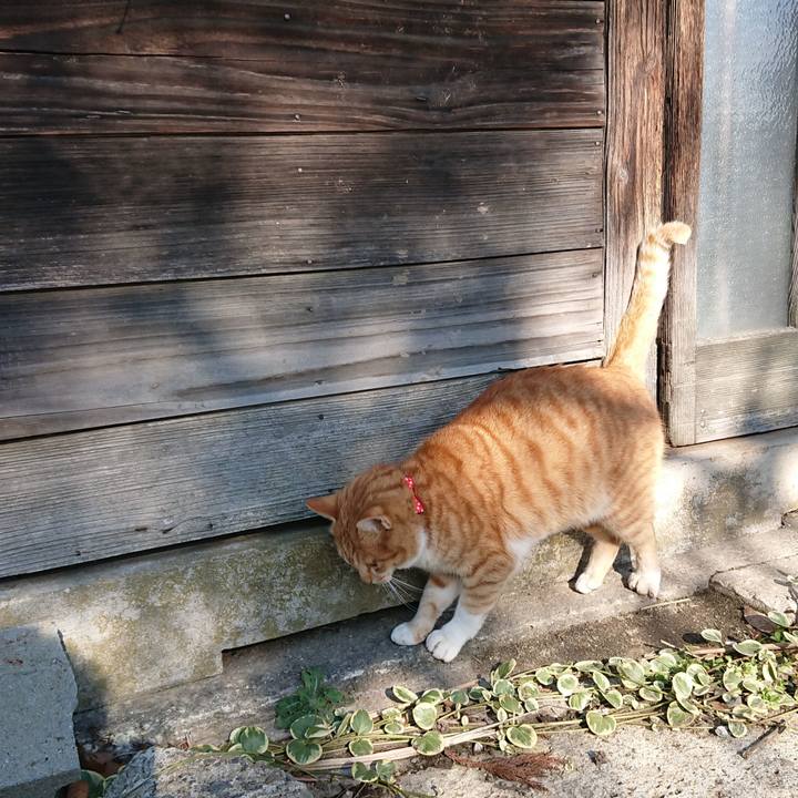 E27ce3ea 94ec 4d06 adec 0d8cc48302f0 1576908512836