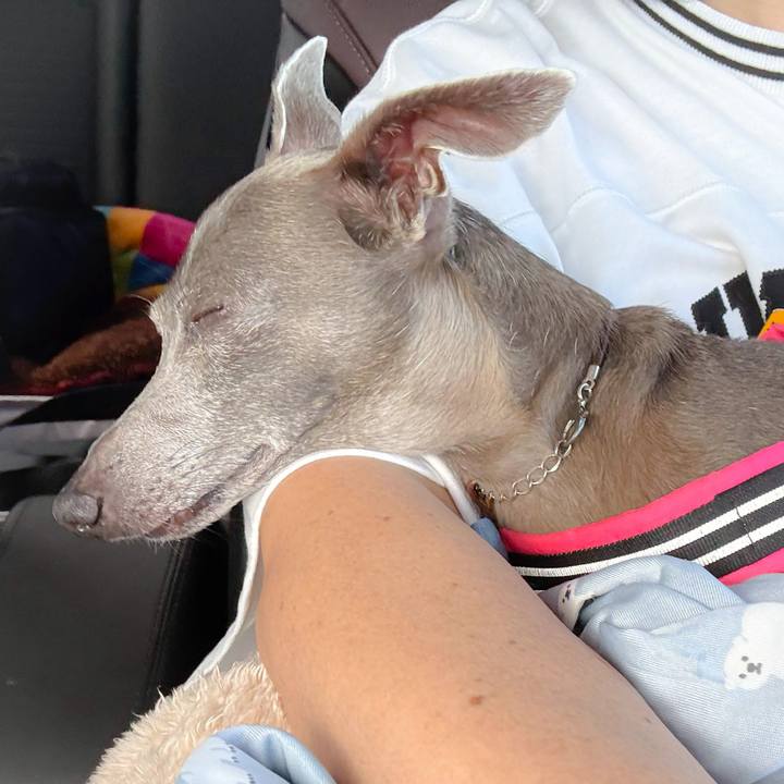 E27d01f8 af72 41ed b3f0 87cfda2c47a4 1761652997210