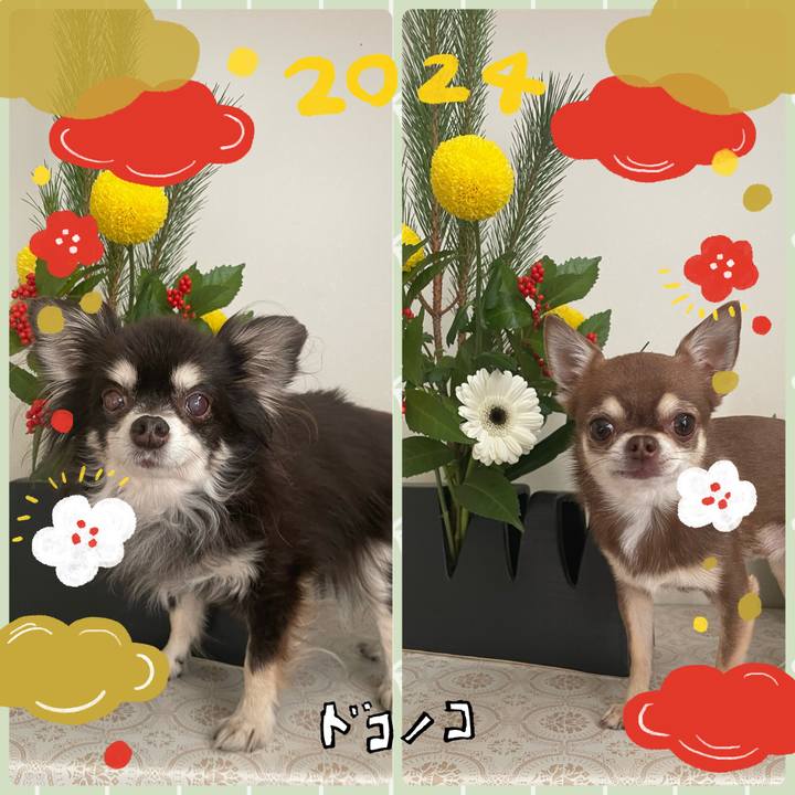 E27d2394 fa15 44a9 8e05 114d634f0877 1704085757540