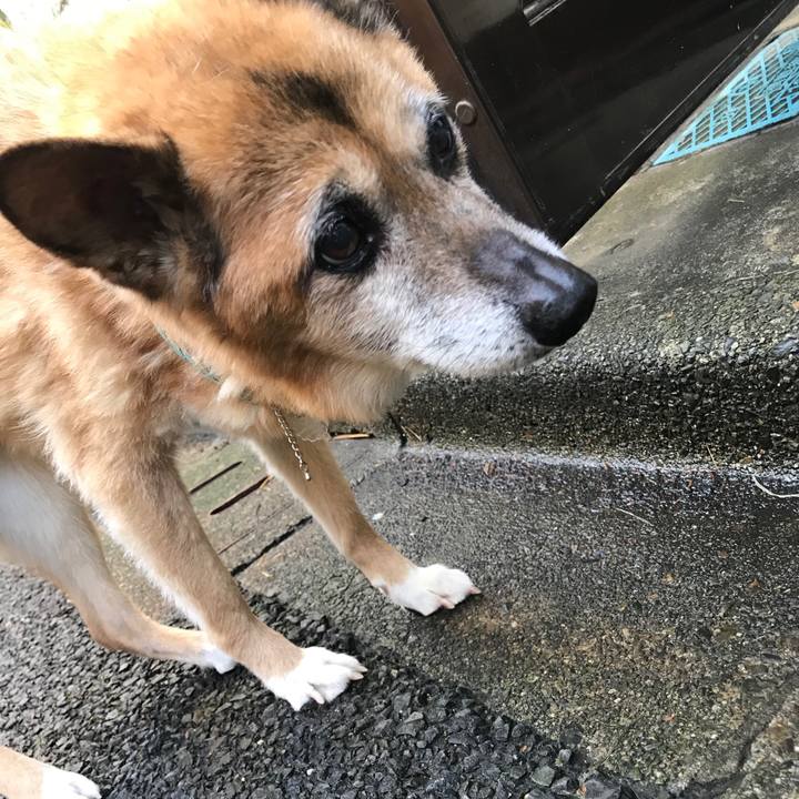 E27d263a 3f3a 40ed b63c aed63f6921a9 1560635513314