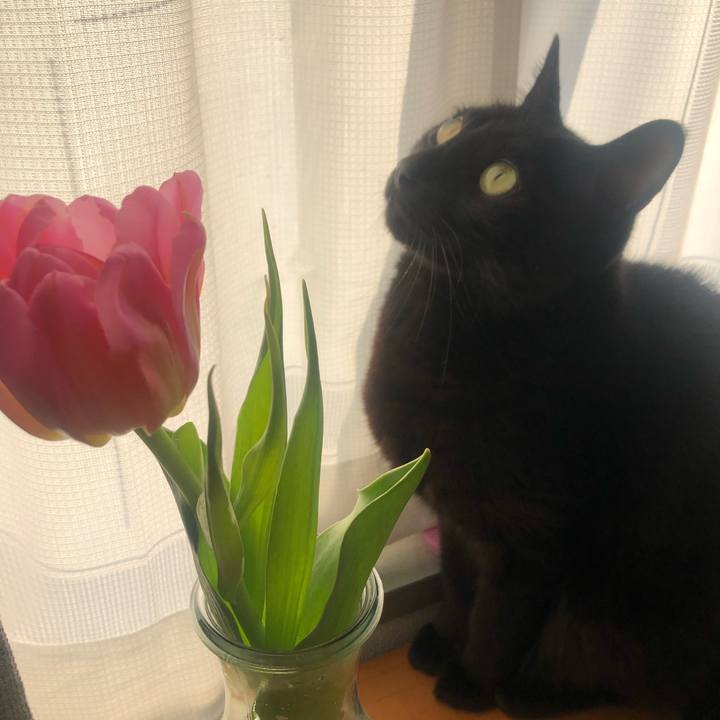 E27d3b93 6982 46bf 9862 7e312c87a62b 1646782188141