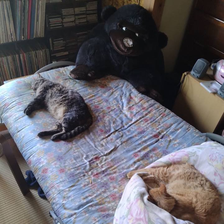 E27d8d27 f603 4bf7 840f eb86b2273b66 1688275295934