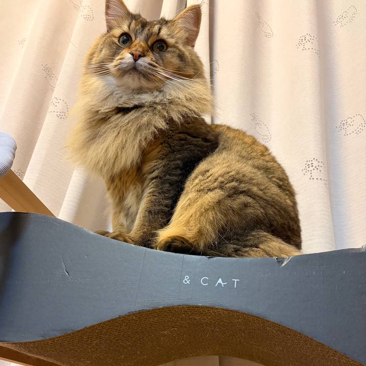 E27d8dcd 06af 41a7 813f 1eb83c5b9f7c 1770032681549