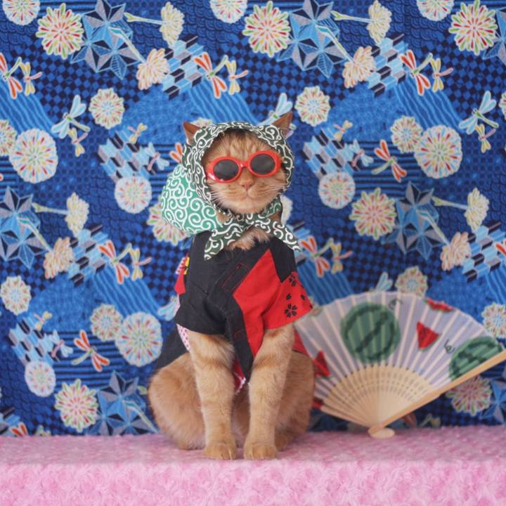 E27da5fa c0e0 4381 b9b3 1557f6ac6707 1659526876869