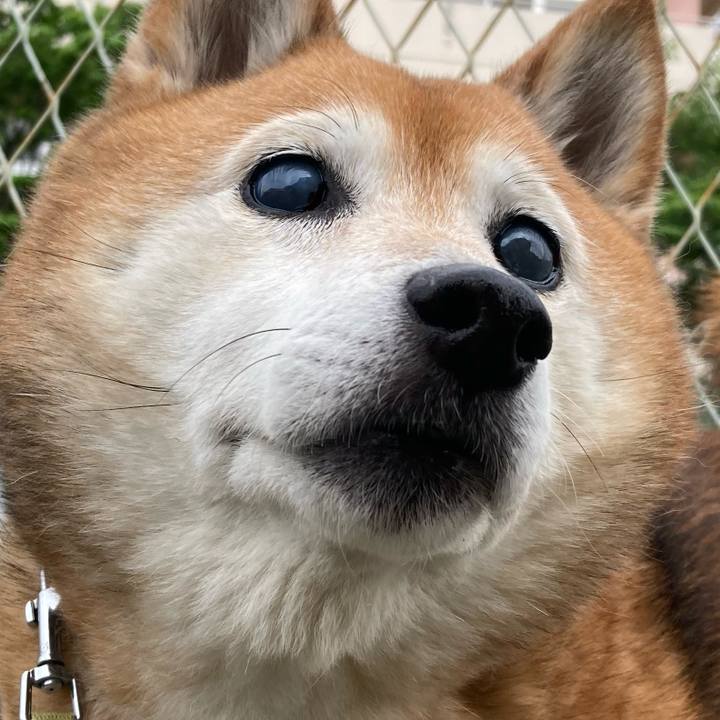 E27dea67 f25a 4562 8f99 ad9fd7cc557d 1715644641538