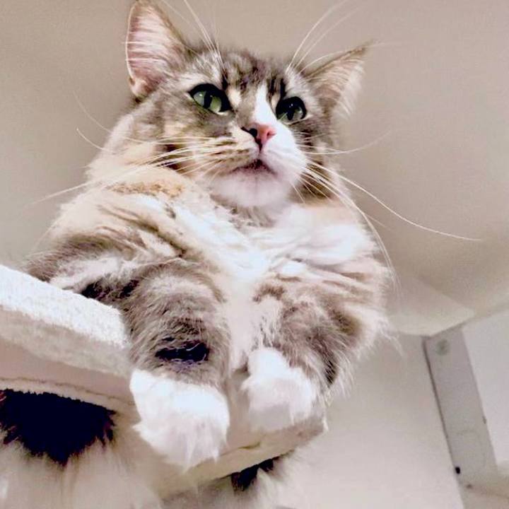 E27df1f7 b0a0 435c a726 b07a6d07d0fb 1717344799085