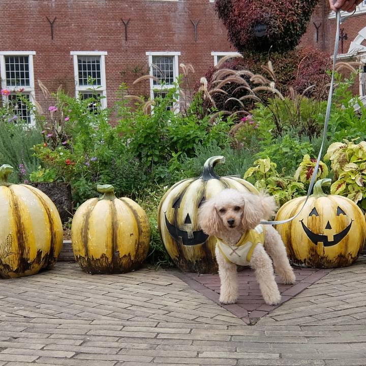 E27df690 38f9 4899 a130 9f7e03cdbc2d 1635584132172