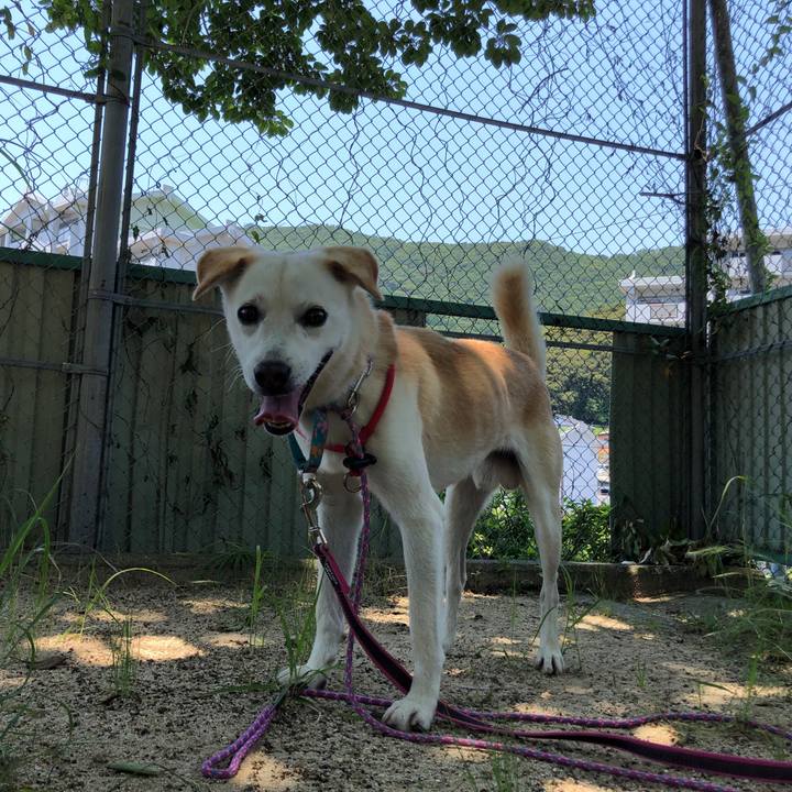 E27e49f2 a729 4bc3 94b1 11cacf9c4dcd 1623316262081