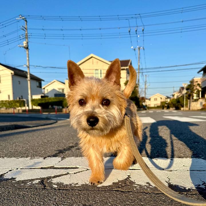 E27e4a18 fe95 45f9 a7fa 61e28038ee74 1710499976341