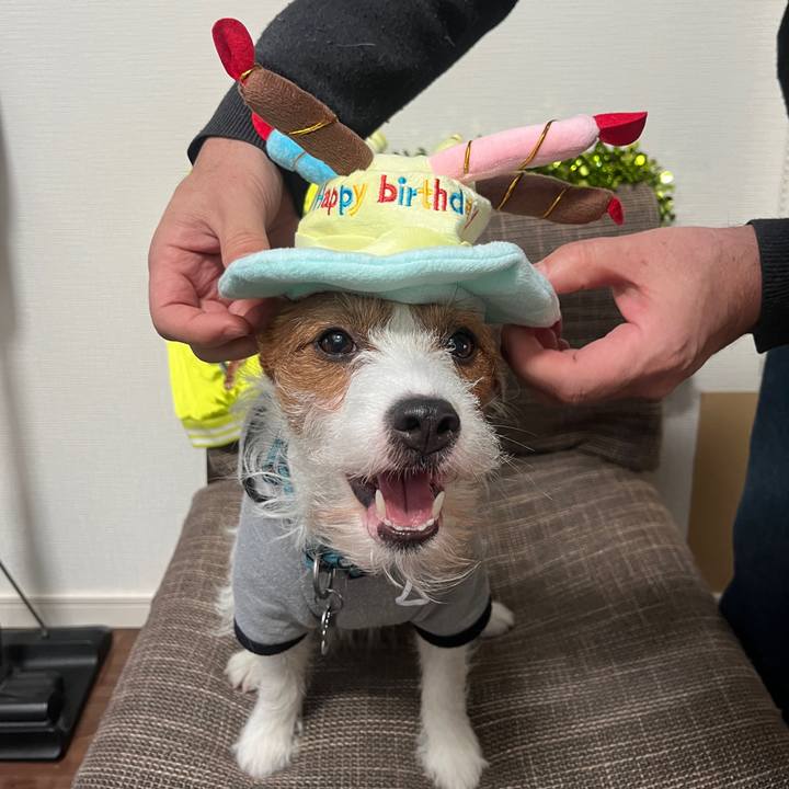 E27edb1b a612 4fbc a777 012bf3e4d187 1768608707893