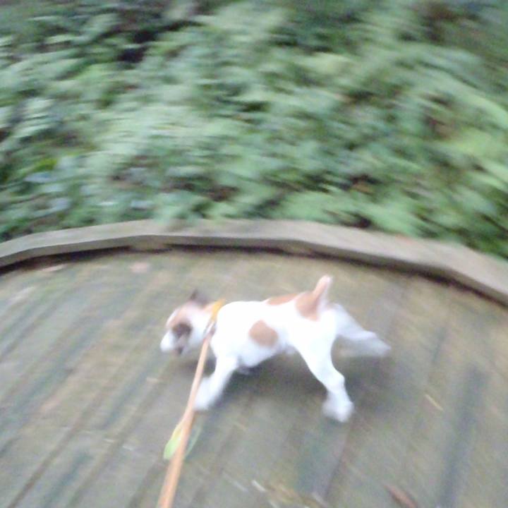 E27ee3ed d5b1 445d bfe4 6f1ed1b577d8 1523861237884