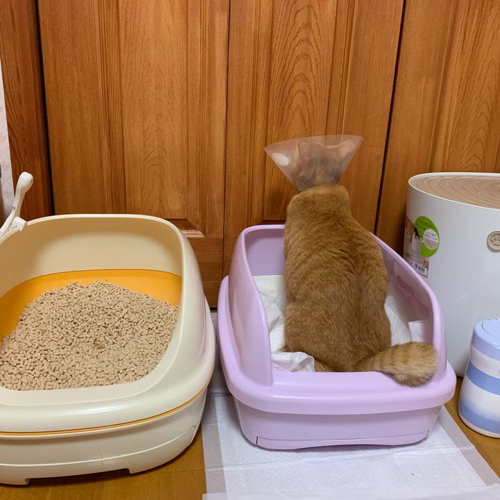 E27f2ce0 3202 454e 87b0 77542090ab96 1567574494930