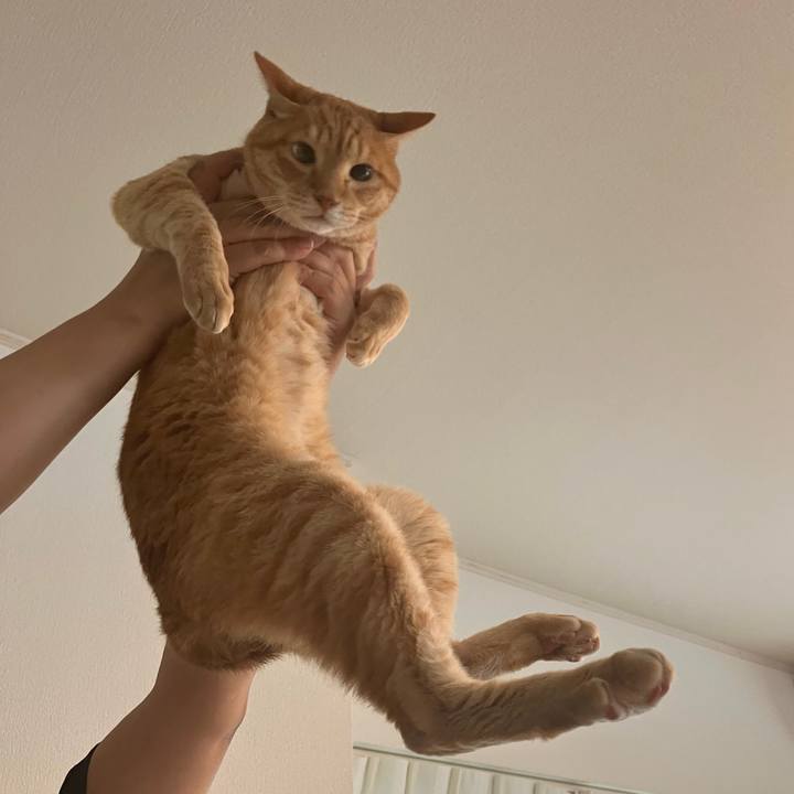 E27f34c0 619a 498d b4e1 c7925be3812a 1787966323644
