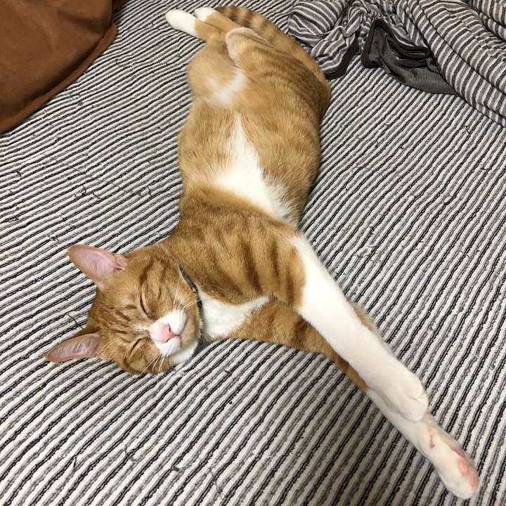 E27f3f4e a9d2 4b4b bea1 d89677b63bef 1559381356090