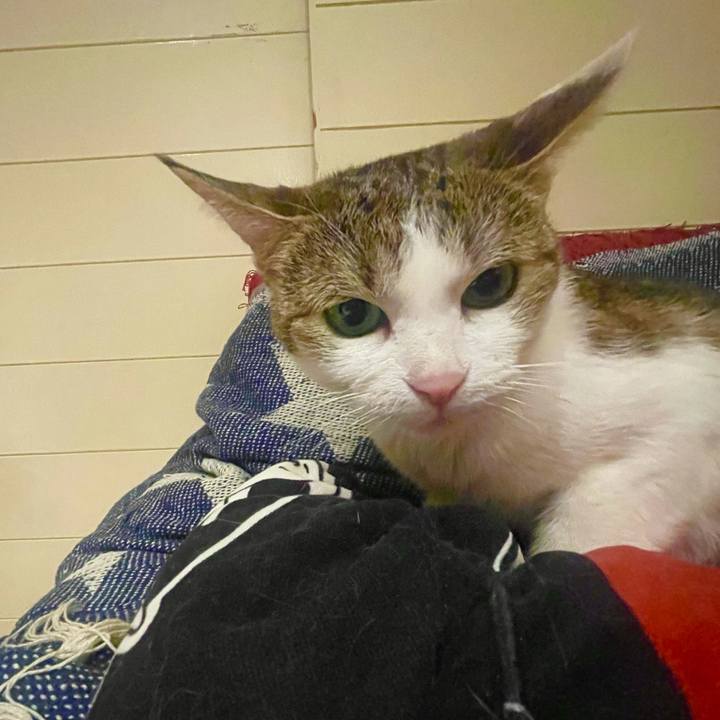 E27f576f 42c7 494b b835 494ed9f7afb2 1628685494925