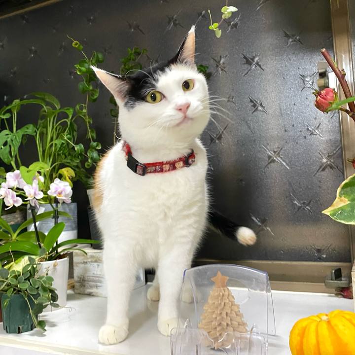 E27f66e7 bac6 4069 b2a1 0f4b12c106b0 1700143228817