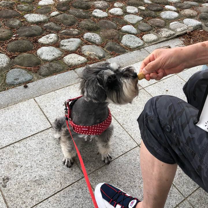 E27faa16 ad3a 441c b677 82a0e459d4f7 1561257915574