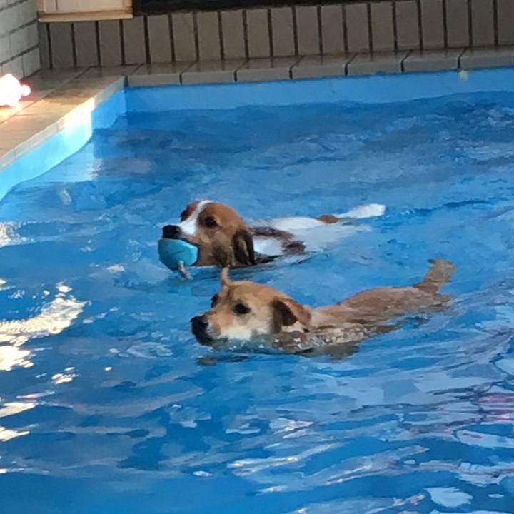 E27fcc7f 19b0 45c5 ba99 16ec1490068b 1511193808608