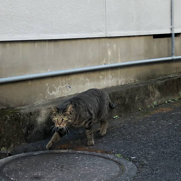 E27ff0cc 6ab7 40a5 9cc3 efd546740bc8 1604629747397