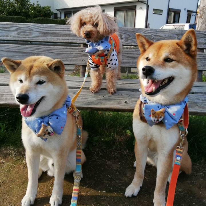 E27ffc27 45b2 4ac8 a17e 0461daae7157 1586249070581