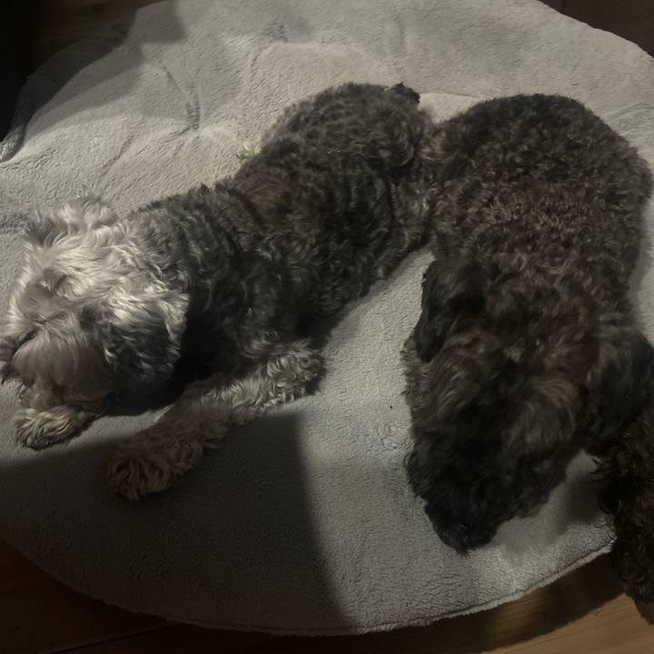 E2801e05 e72e 4280 9714 06781a04add9 1718460996929