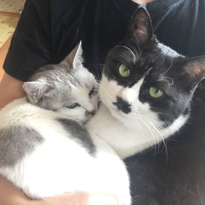 E2803e65 ac47 428e 8f21 5f8171cf68be 1565838536994