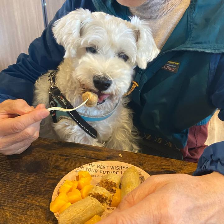 E2805c5a 777d 4370 8dd3 f89ef38e8eb3 1762222449312