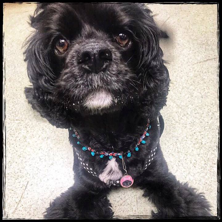 E2806e82 b037 42e5 b2e8 35e32616a808 1528287002166