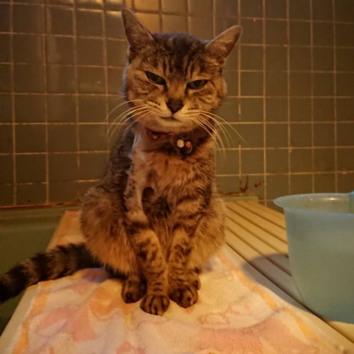 E2809bad 4895 4de2 bef2 edfa2096e48d 1589967765667