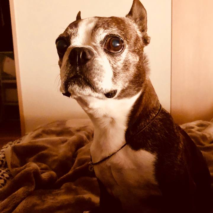 E280f4a1 6a78 47e9 9ae4 5918e9569850 1517972046614