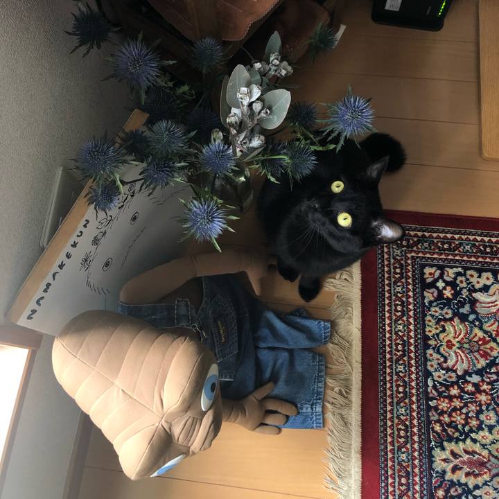 E280fac6 98db 43ce b1b3 3e8a78f7d5ef 1556423811305