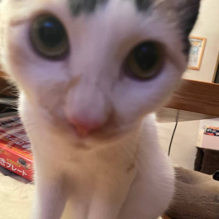 E28103cc 35ba 49ee 9c75 95481c3d9480 1669293415369