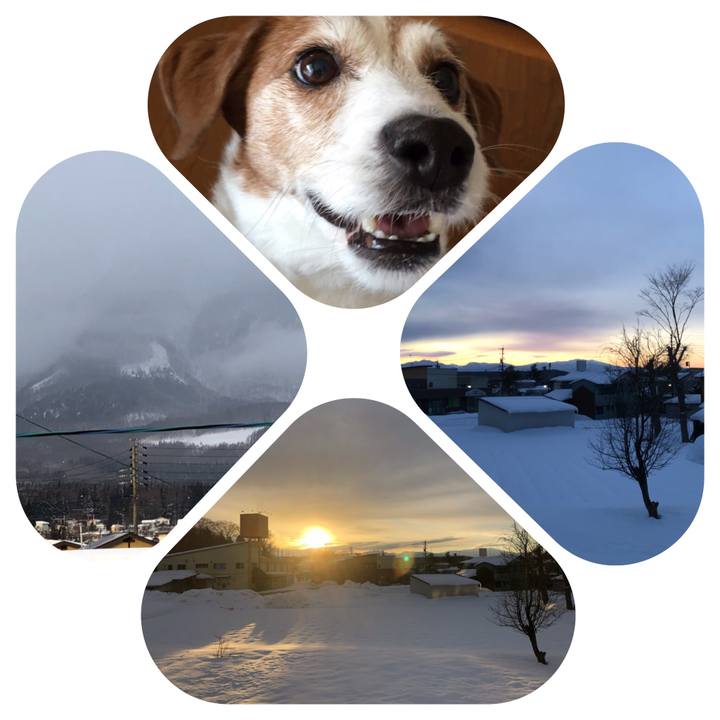 E2813b97 0982 496d a2c7 cad3502dc94e 1515712124911